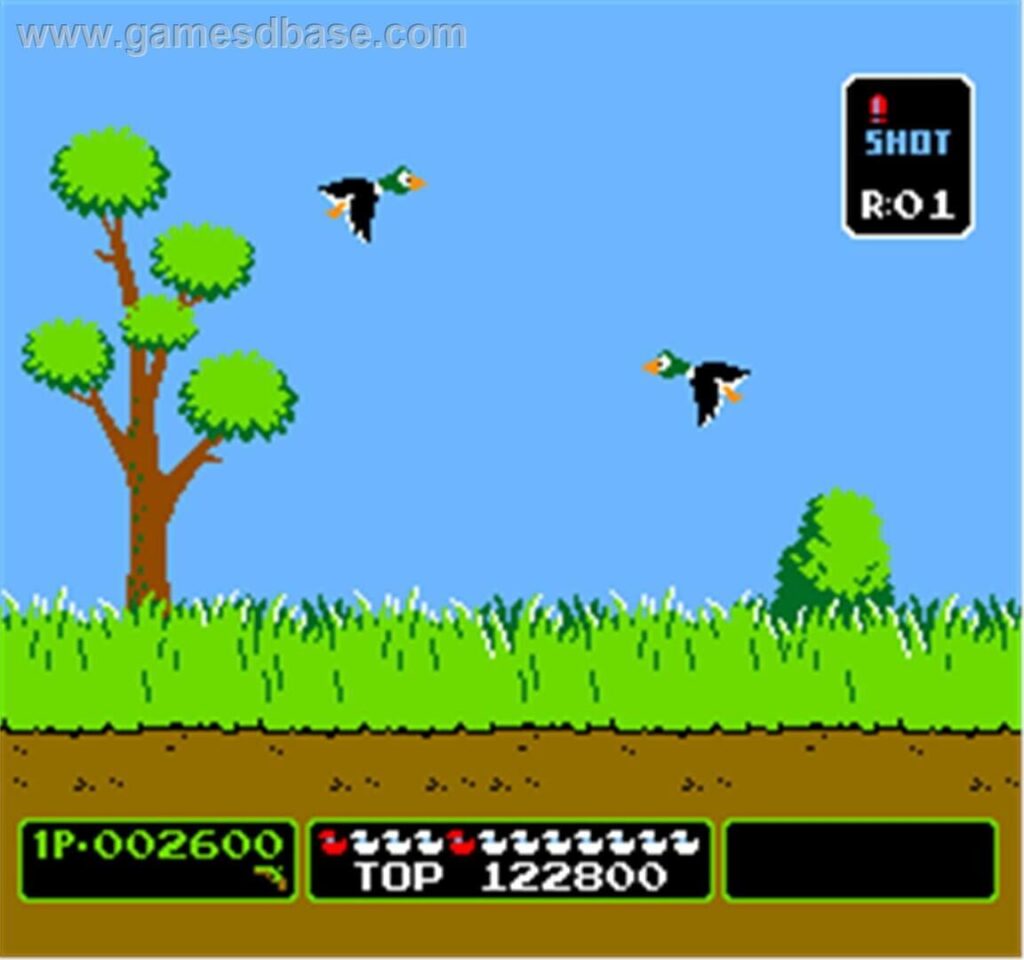Capture d’écran de Duck Hunt