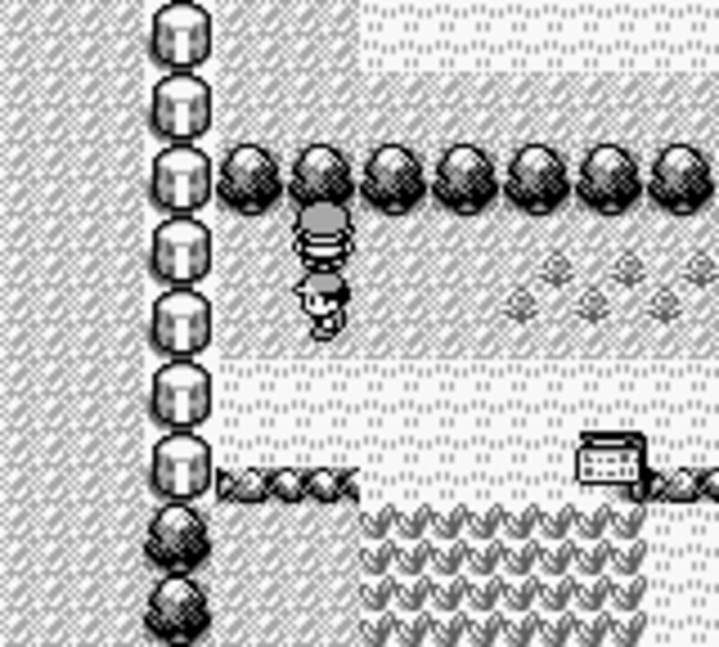 Capture d’écran de Pokémon Red Version