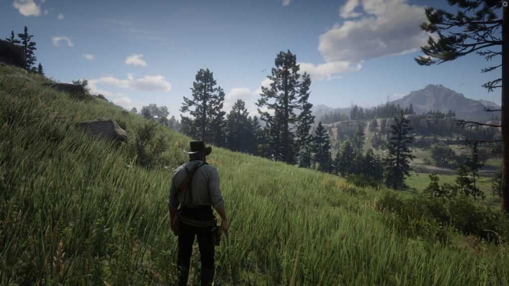 Capture d’écran de Red Dead Redemption 2