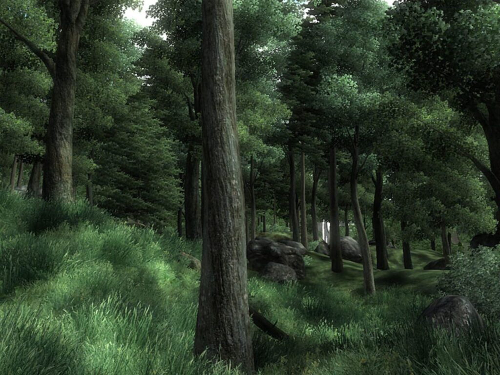 Capture d’écran de The Elder Scrolls IV: Oblivion