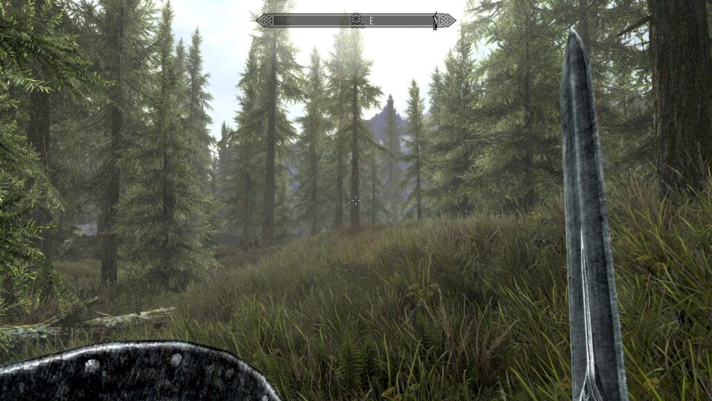 Capture d’écran de The Elder Scrolls V: Skyrim