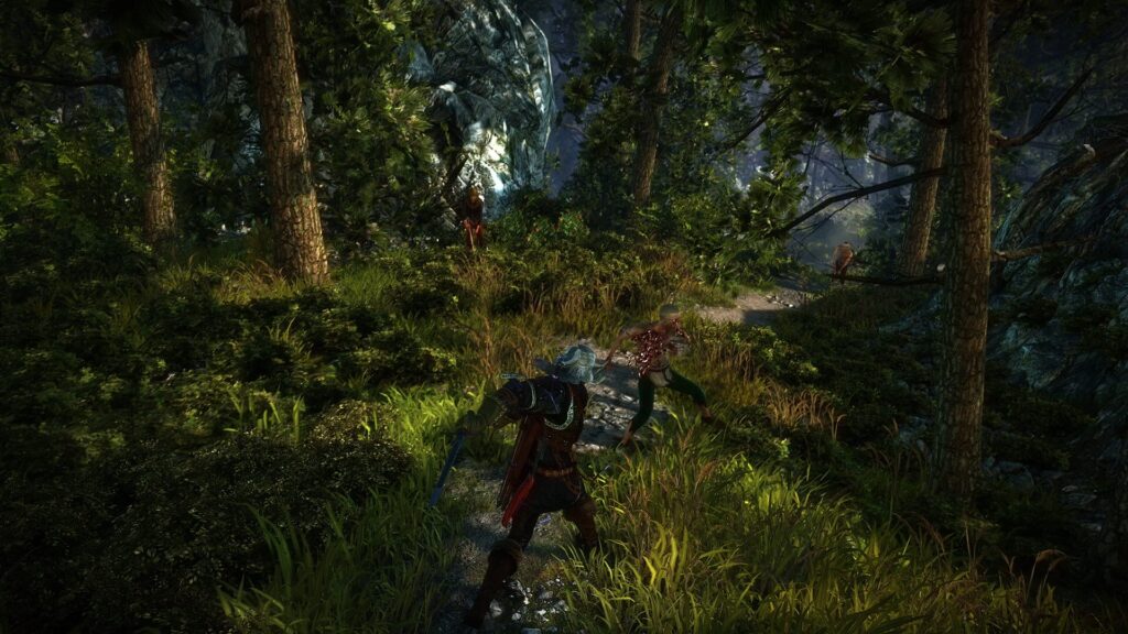 Capture d’écran de The Witcher 2: Assassins of Kings