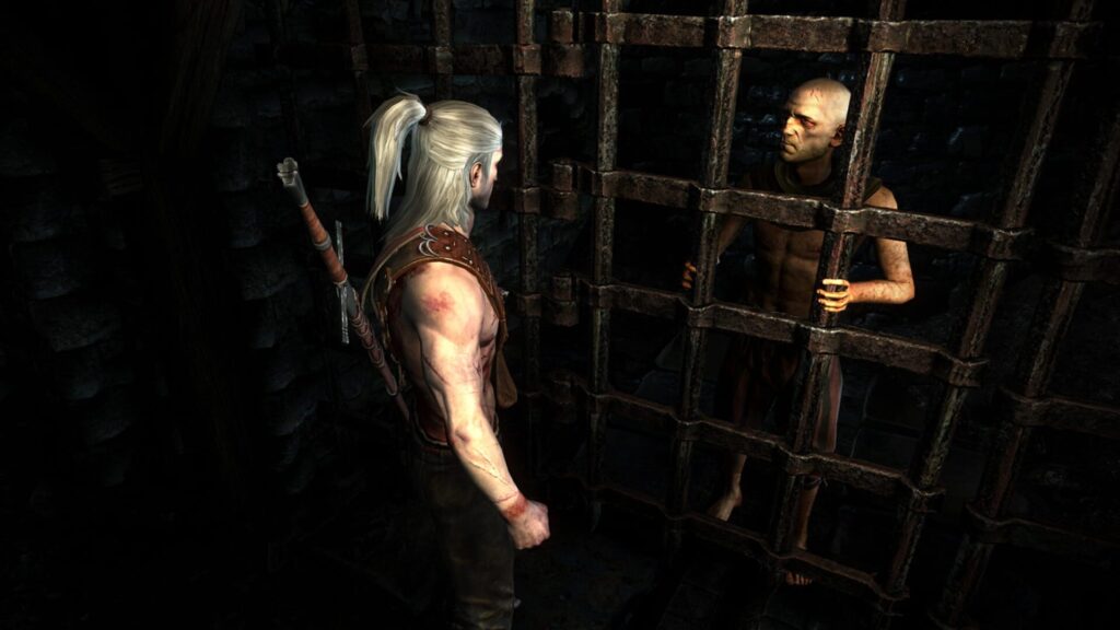 Capture d’écran de The Witcher 2: Assassins of Kings