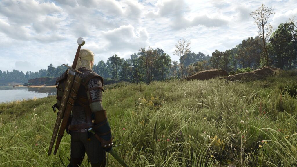Capture d’écran de The Witcher 3: Wild Hunt