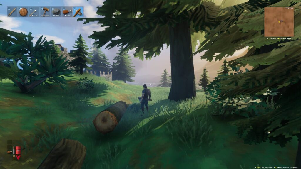 Capture d’écran de Valheim