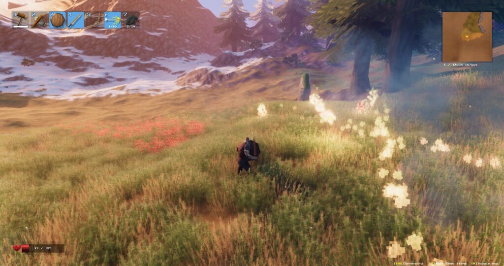 Capture d’écran de Valheim